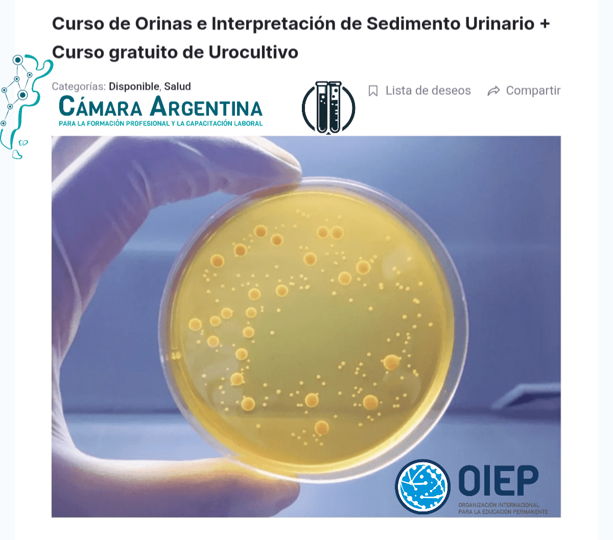Curso de Orinas e Interpretación de Sedimento Urinario + Curso gratuito de Urocultivo