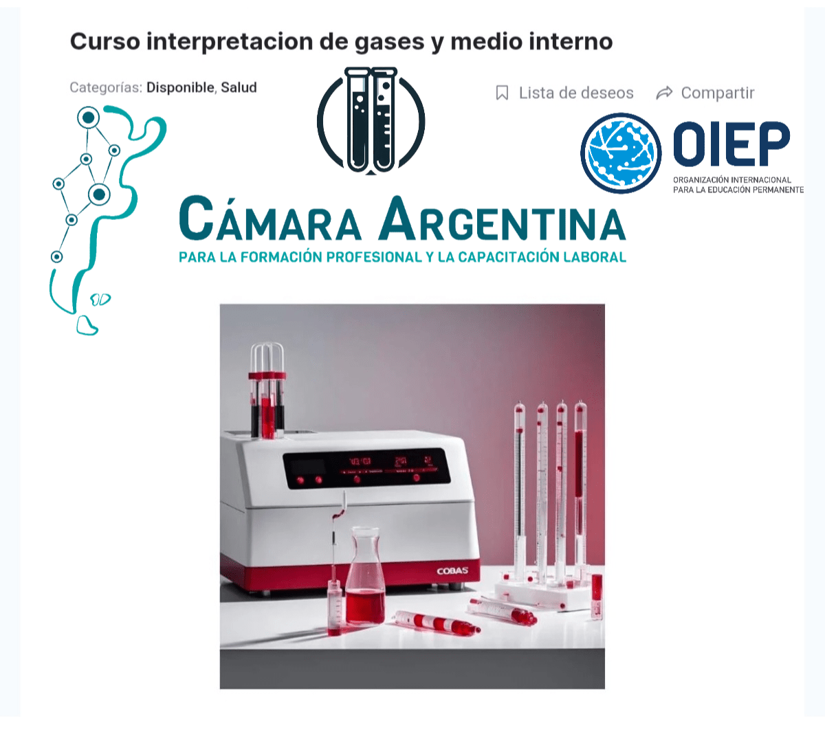 Curso interpretacion de gases y medio interno